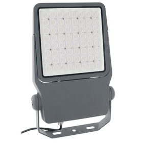 LEDプロジェクションライト（投照器・同期型） LEDプロジェクションライト（投照器・同期型） (PDS-CS01-100FL)