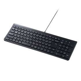USB Type-Cスリムキーボード [SKB-SL31CBK] (SKB-SL31CBK)