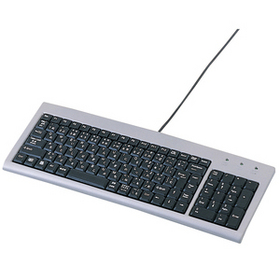 スリムキーボード スリムキーボード (SKB-SL02U)