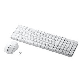 マウス付きワイヤレスキーボード SKB-WL25SETW (SKB-WL25SETW)